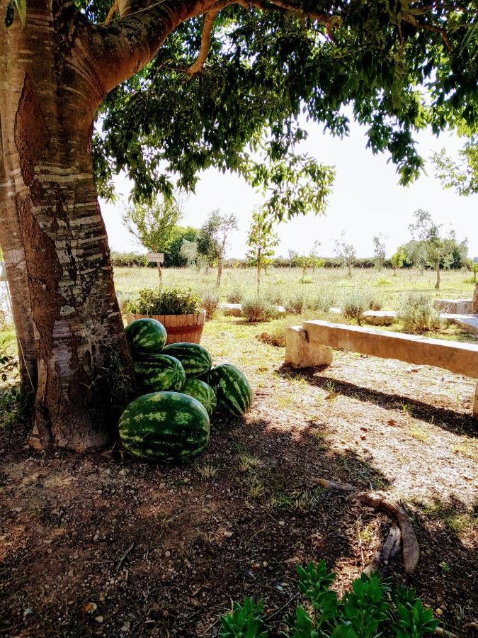 Masseria Cataldo Corigliano dʼOtranto Kültér fotó