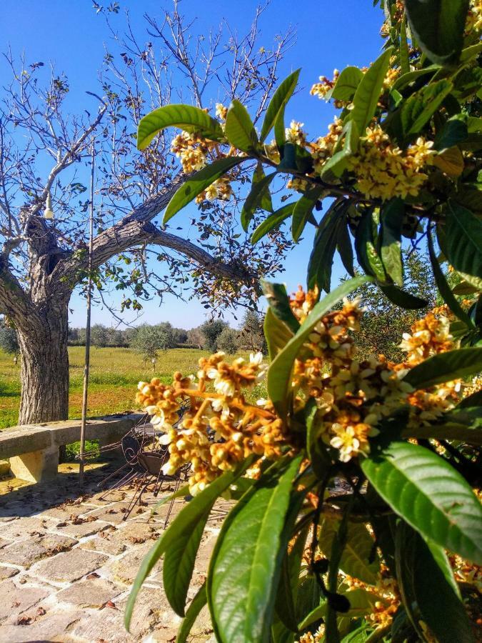 Masseria Cataldo Corigliano dʼOtranto Kültér fotó