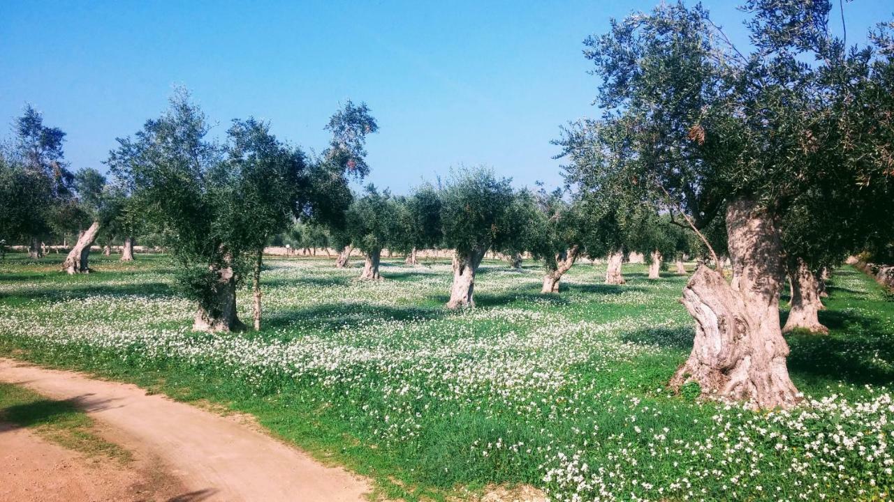 Masseria Cataldo Corigliano dʼOtranto Kültér fotó